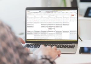 Fat Cat Design-create a social media calendar