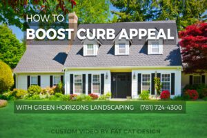 custom video design by Fat Cat Design