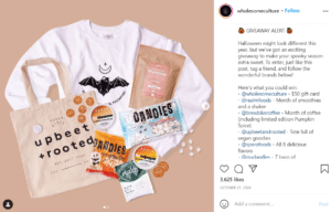Fat Cat Design - grow your Instagram following by collaboration with influencers and brands