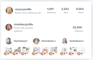 Fat Cat Design: Grow Instagram Followers Organically