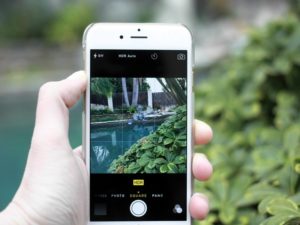 Fat Cat Design - Tips for quality photo capture with your smartphone Fat Cat Design - Tips for quality photo capture with your smartphone