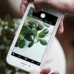 Fat Cat Design - use negative space and simplicity for quality photo capture with smartphone
