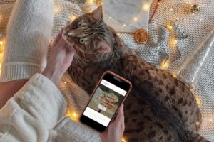 Fat Cat Design website design for Author Kathleen Pendoley