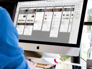 Hiring a Professional Web Designer for Your Company Website