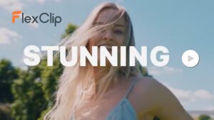 FlexClip video creator